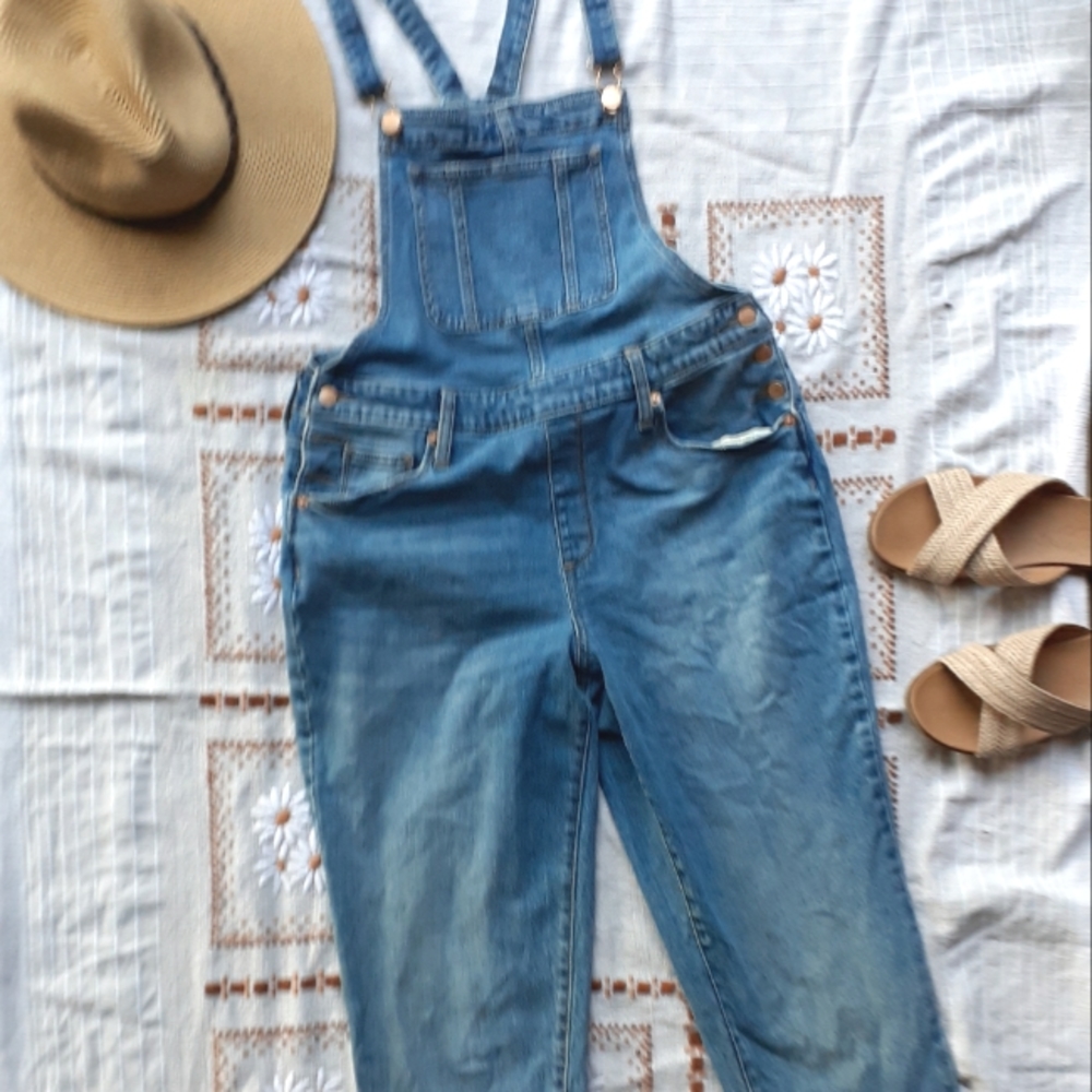 Universal Thread Denim Overalls